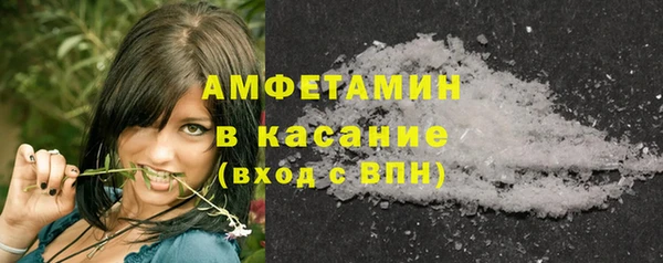 ПСИЛОЦИБИНОВЫЕ ГРИБЫ Вяземский