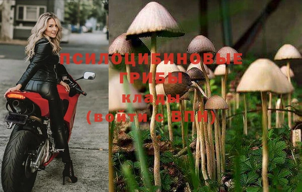 COCAINE Михайлов