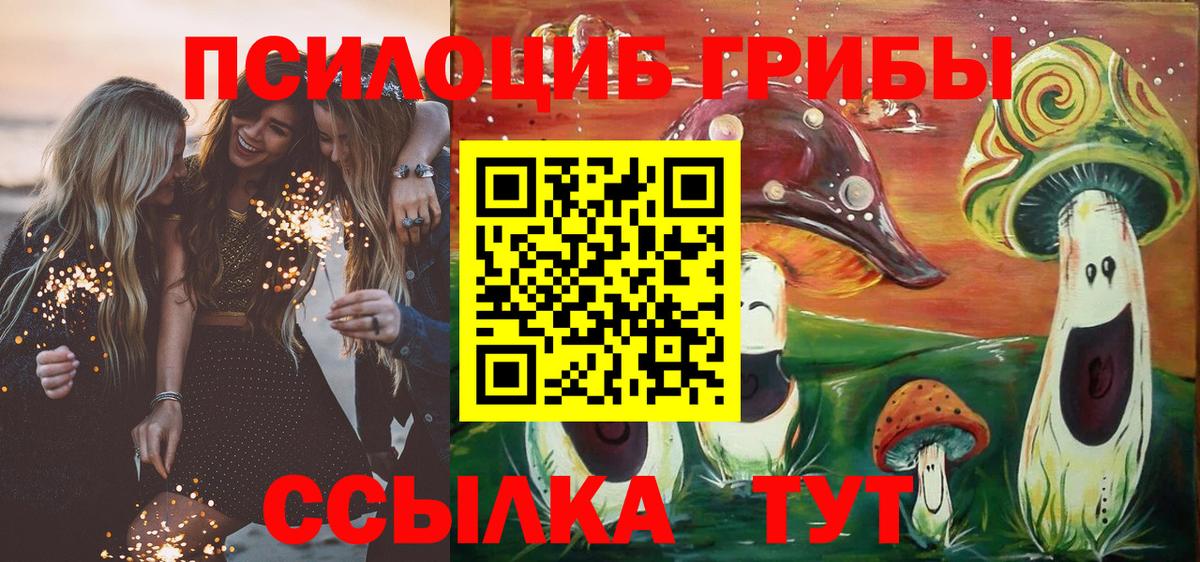 Псилоцибиновые грибы GOLDEN TEACHER Егорьевск