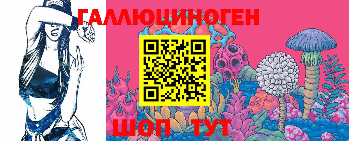 Галлюциногенные грибы Psilocybe Егорьевск