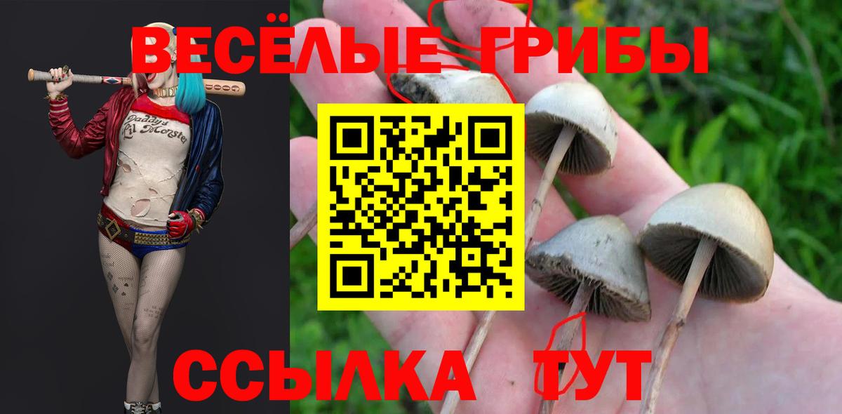 Егорьевск  Псилоцибиновые грибы GOLDEN TEACHER  Вход с VPN 