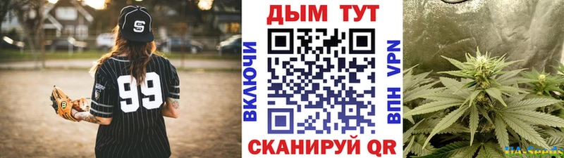 Бошки Шишки Ganja блэк спрут ссылки Егорьевск