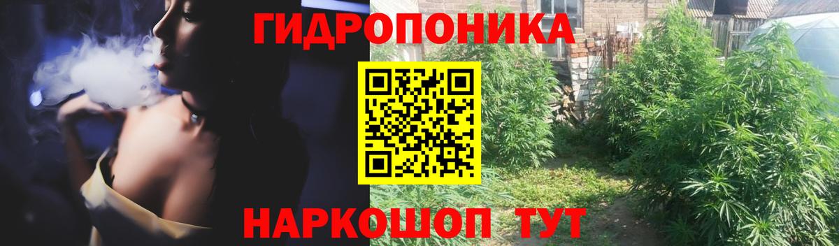 Марихуана семена  Каннабис OG Kush  Егорьевск  Марихуана индика 